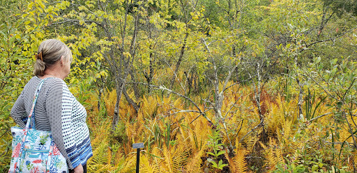 Nature Preserve «Eshqua Bog Natural Area», reviews and photos, Garvin Hill Rd, Woodstock, VT 05091, USA