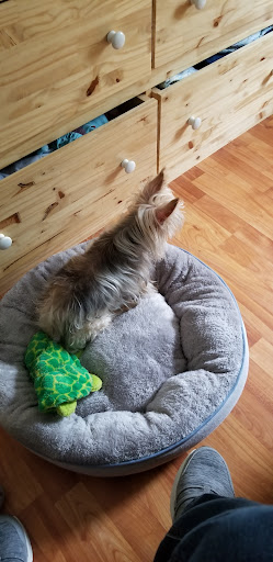 Department Store «Walmart Supercenter», reviews and photos, 175 Beasley Dr, Dickson, TN 37055, USA