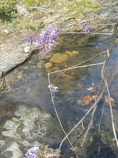 Park «Allsopp Park», reviews and photos, 3700 Cedar Hill Rd, Little Rock, AR 72202, USA