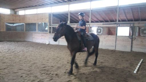 Horse Riding School «Horseng Farm LLC», reviews and photos, 6475 Warden Rd, New Tripoli, PA 18066, USA