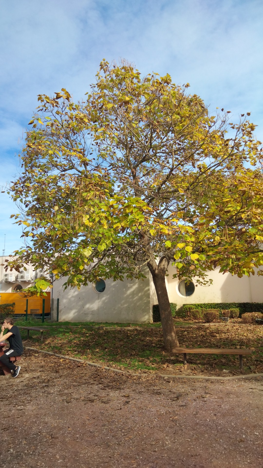 Photo n° 21 de l'avis de Francisco.a fait le 22/10/2022 à 12:01