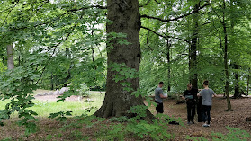 "The sling" climbing tree