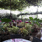 Photo n°3 de l'avis de Paolo.e fait le 30/07/2022 à 12:51 sur le  Il NOCE Trattoria pizzeria à Pitigliano