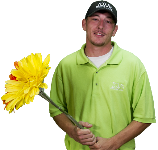 Plumber «Love Plumbing Air & Electrical», reviews and photos