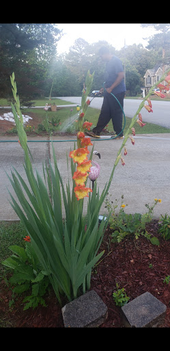 Home Improvement Store «The Home Depot», reviews and photos, 13171 Hwy 142 Nw, Covington, GA 30014, USA