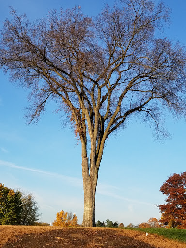 Country Club «Meadowbrook Country Club», reviews and photos, 40941 W 8 Mile Rd, Northville, MI 48167, USA