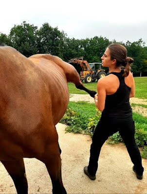 Ostéopathe pour animaux - Eva Dupont à Lunel
