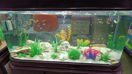 Johari Pet Shop & Fish Aquarium