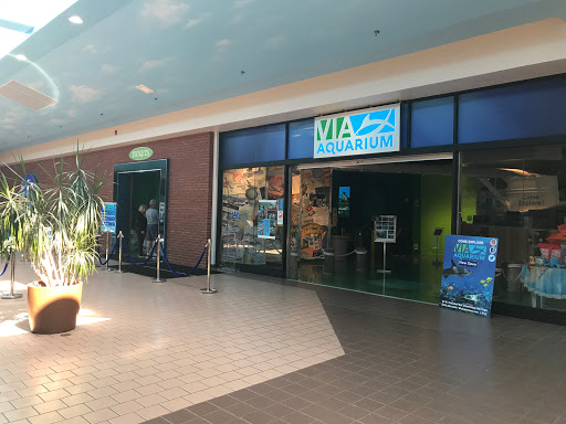 Aquarium «Via Aquarium», reviews and photos, 93 W Campbell Rd, Schenectady, NY 12306, USA