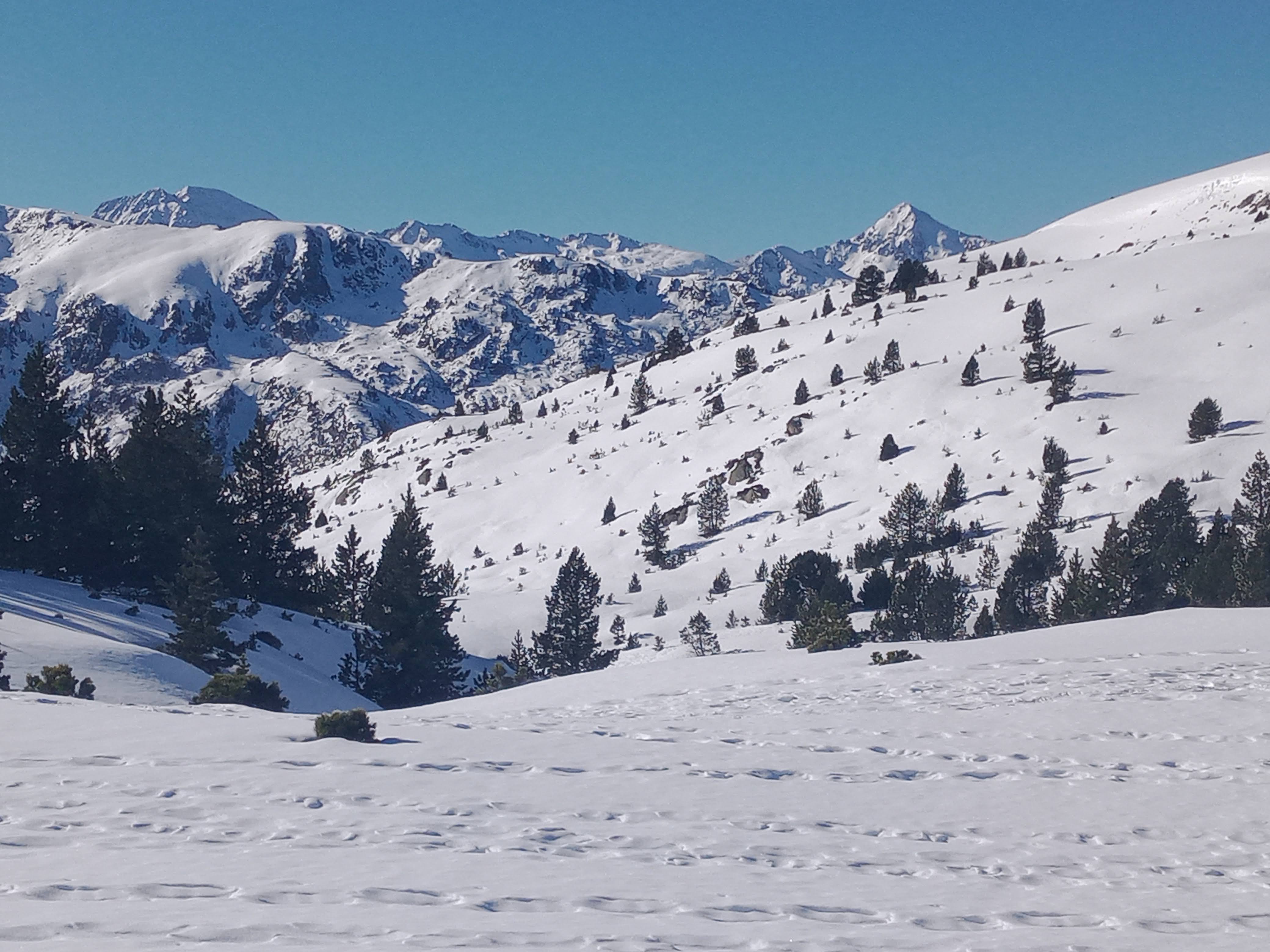 Photo n° 2 de l'avis de Jean-jacques.e fait le 21/01/2024 à 17:04