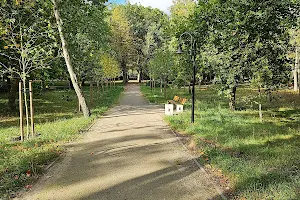 Park Miejski w Dębnie image
