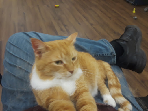 Pet Supply Store «PetPeople», reviews and photos, 3330 Washtenaw Ave, Ann Arbor, MI 48104, USA