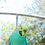 Photo n° 1 de l'avis de angelique.e fait le 02/08/2022 à 12:42 pour Spaycific Zoo à Spay