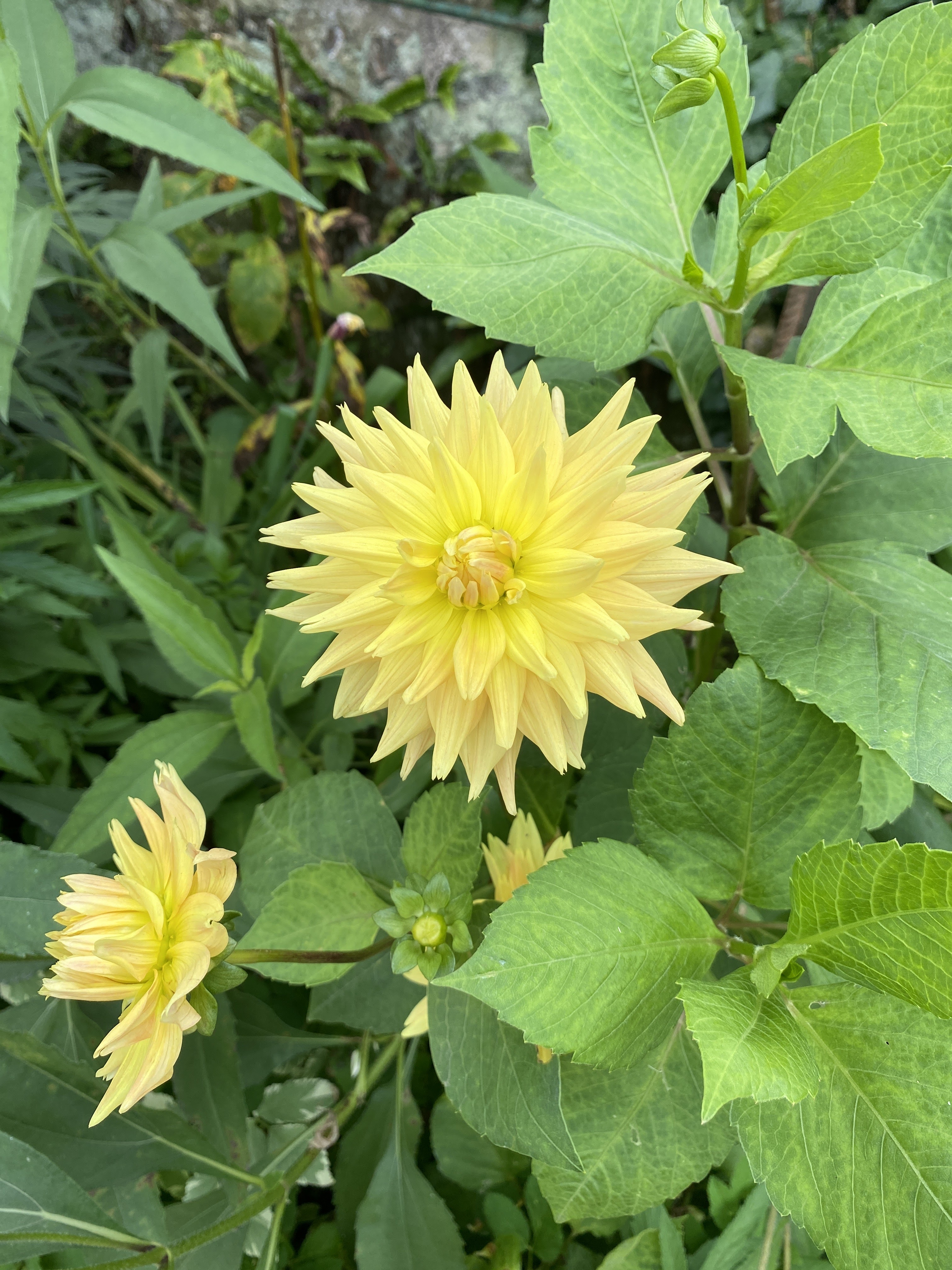 Photo n° 4 de l'avis de Bryan.o fait le 13/08/2023 à 15:04