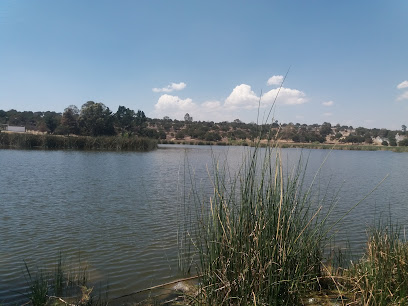 Laguna El Ojito