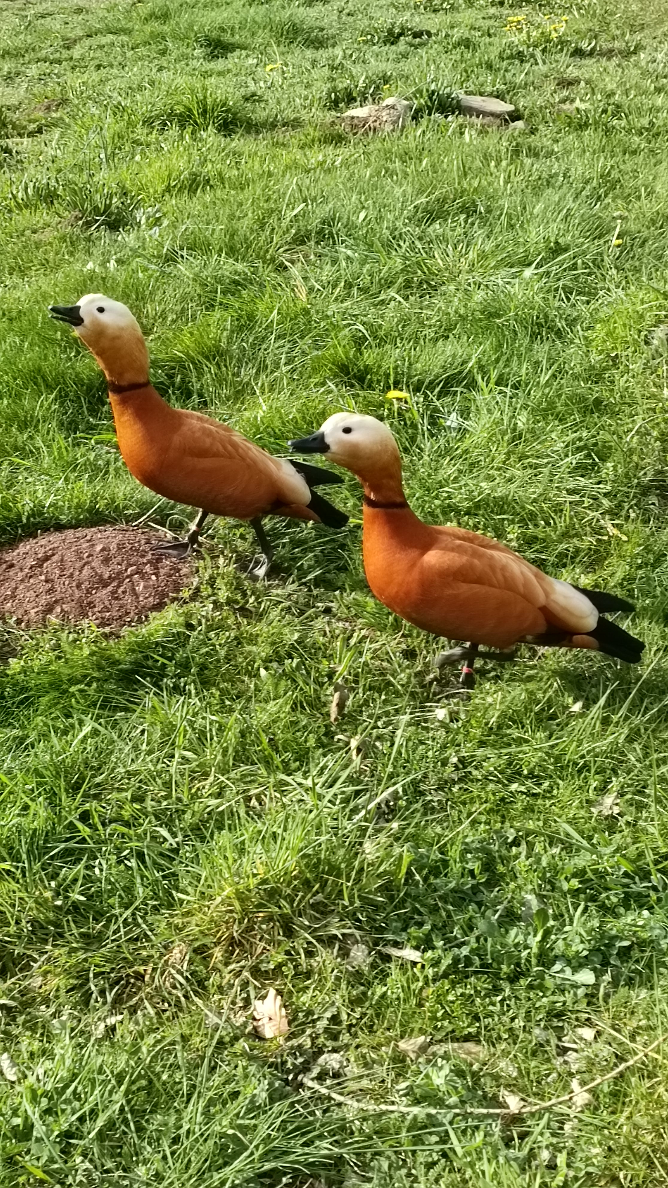 Photo n° 13 de l'avis de aleks.u fait le 10/04/2023 à 11:55