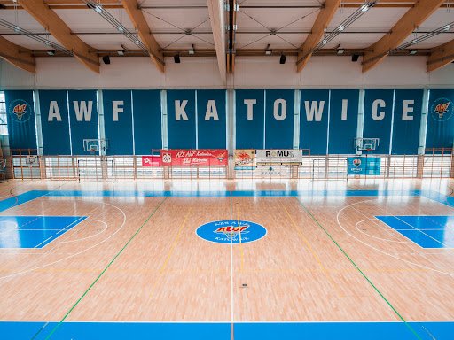 Szkoły koszykówki Katowice