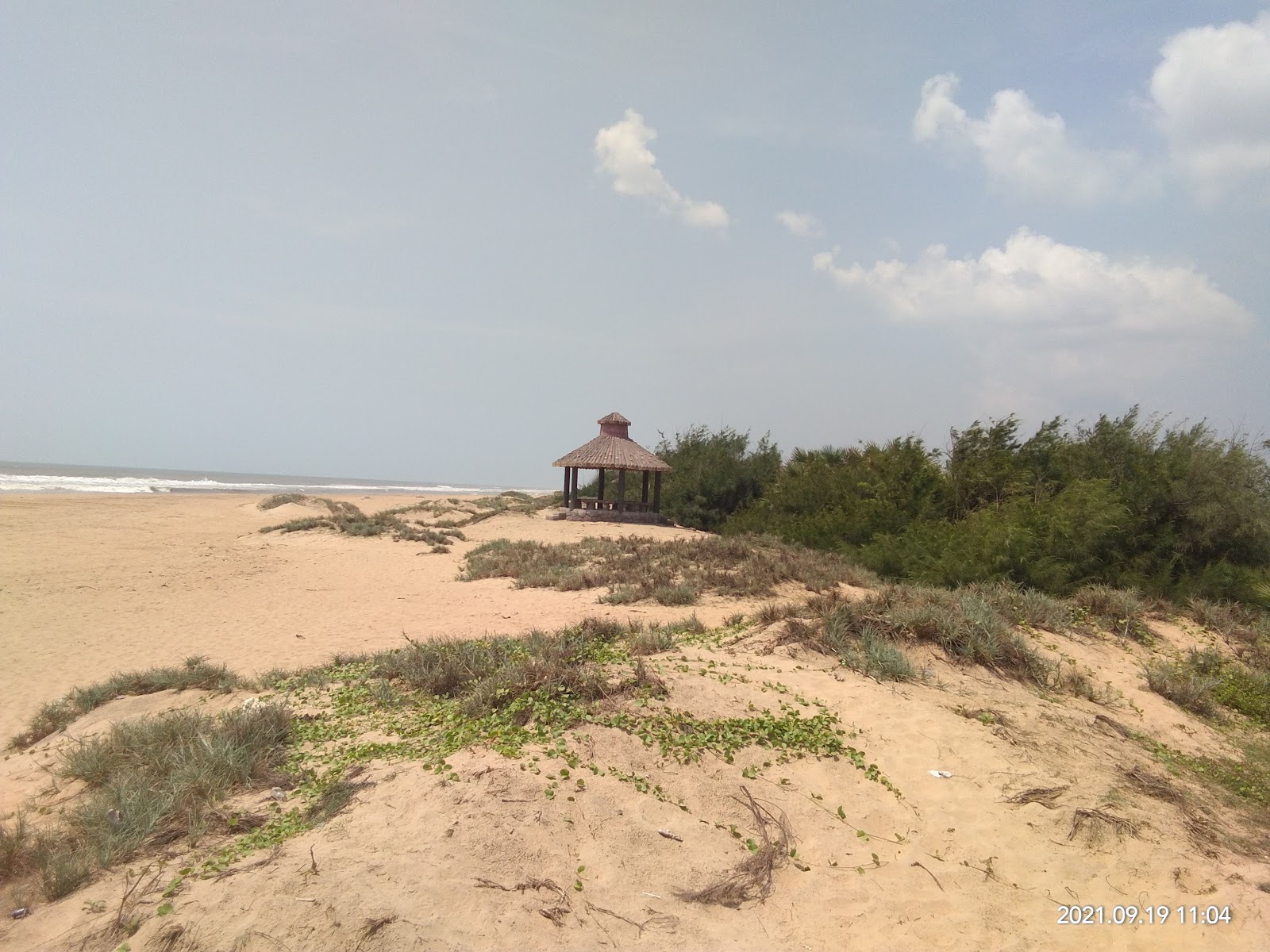 Foto de Surasani Yanam Beach - lugar popular entre os apreciadores de relaxamento