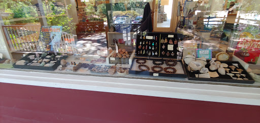 National Forest «Petrified Forest», reviews and photos