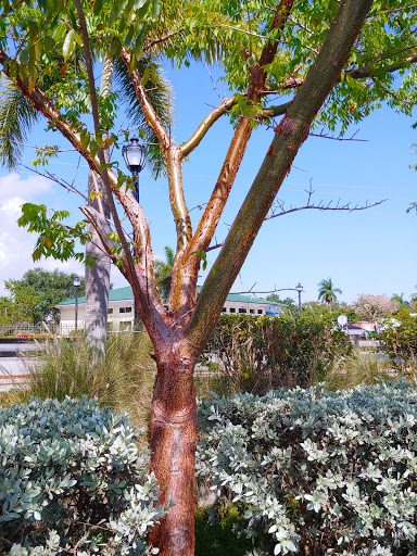 Wine Store «Three60 Market», reviews and photos, 2891 Bayview Dr, Naples, FL 34112, USA