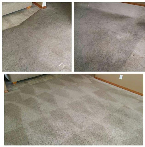True Dry Carpet Cleaning in Post Falls, Idaho