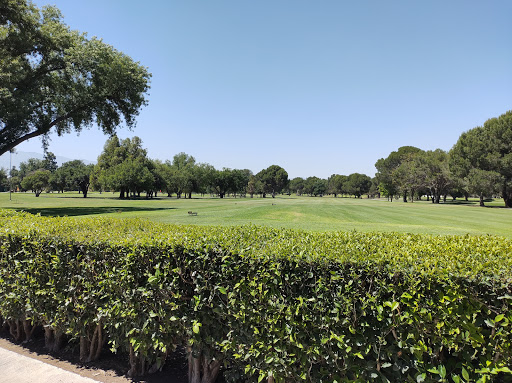 Campo de golf público Saltillo