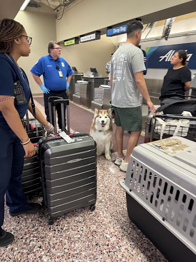 Prairie Creek Pet Hospital image