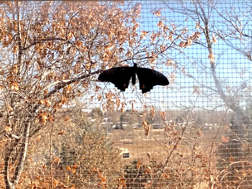Animal Protection Organization «Butterfly Pavilion», reviews and photos, 6252 W 104th Ave, Westminster, CO 80020, USA