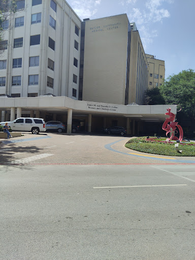 Baylor University Medical Center Dallas Heliport