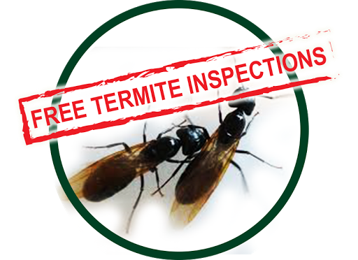 Kilter Termite and Pest Control - Long Beach