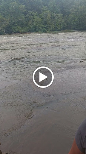 Park «Jones Bridge Park», reviews and photos, 4901 E Jones Bridge Rd, Peachtree Corners, GA 30092, USA