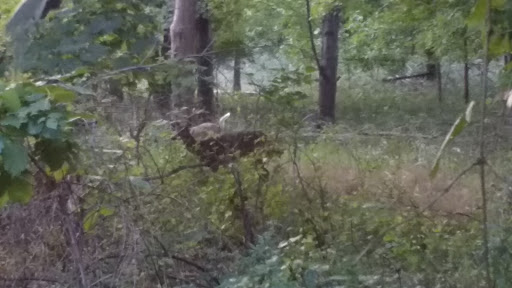 Park «Marquardt Park», reviews and photos, Brookhigh Dr, Brooklyn, OH 44144, USA