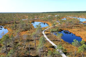 Cenas tīreļa laipu takas skatu tornis image