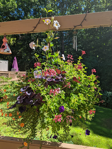 Florist «Laurel Grove Florist», reviews and photos, 16 High St, Port Jervis, NY 12771, USA