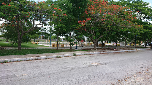 Parque Polígono CTM