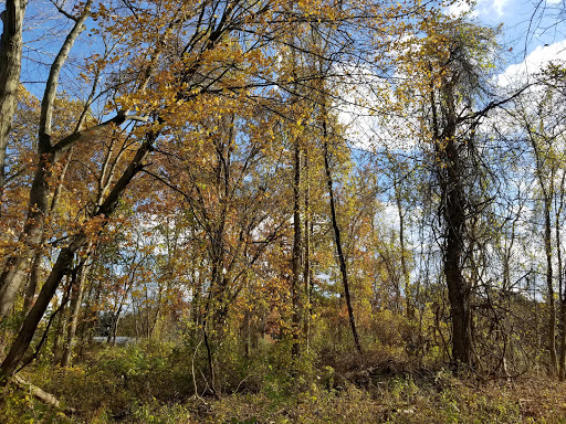 Car Repair and Maintenance «Midas», reviews and photos, 920 Route 46 East, Kenvil, NJ 07847, USA