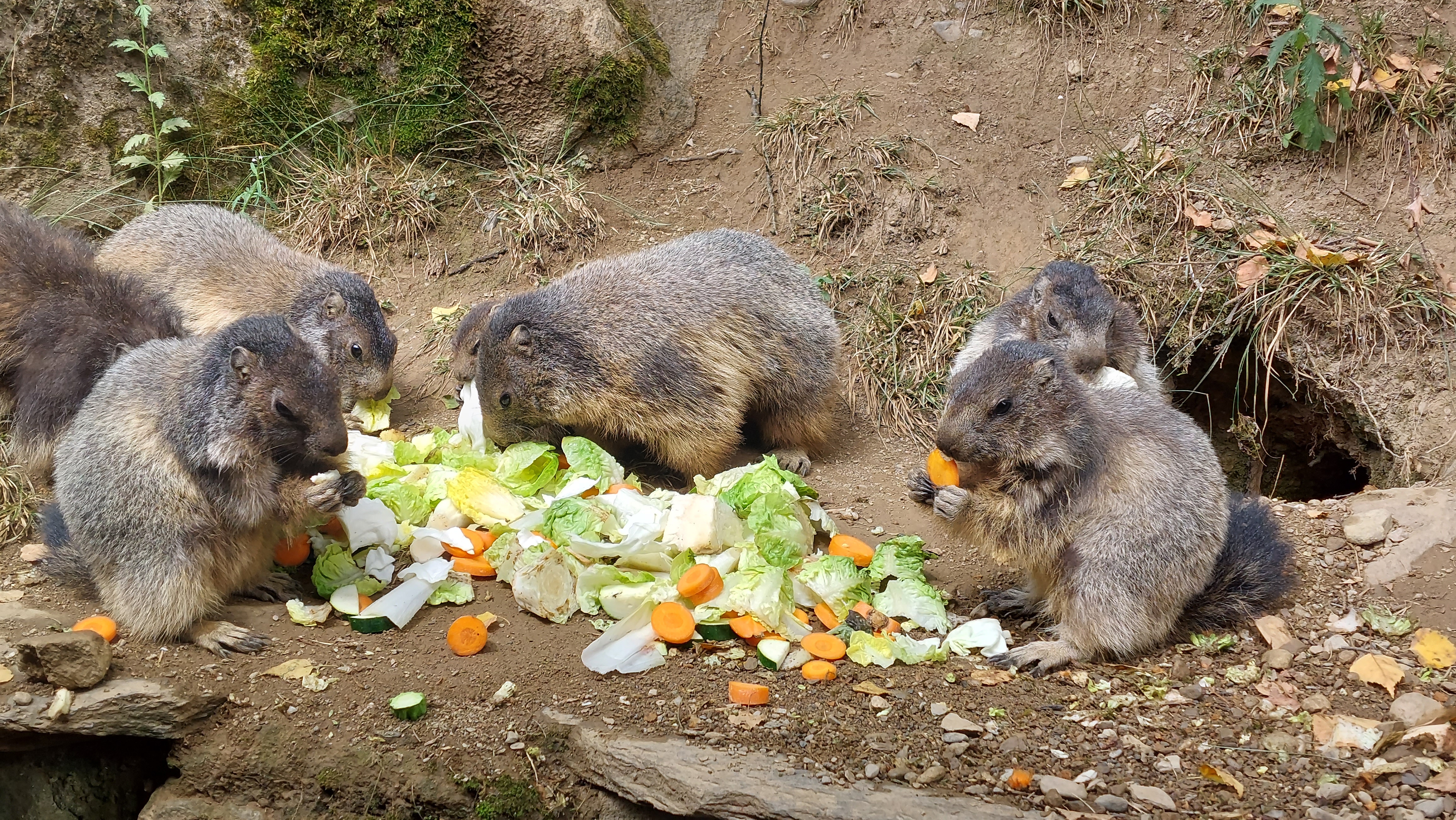 Photo n° 6 de l'avis de Frederick.e fait le 06/07/2022 à 18:45