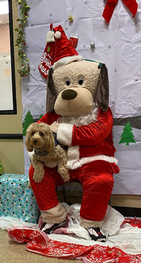 Pet Supply Store «PetSmart», reviews and photos, 2458 Central Park Ave, Yonkers, NY 10710, USA