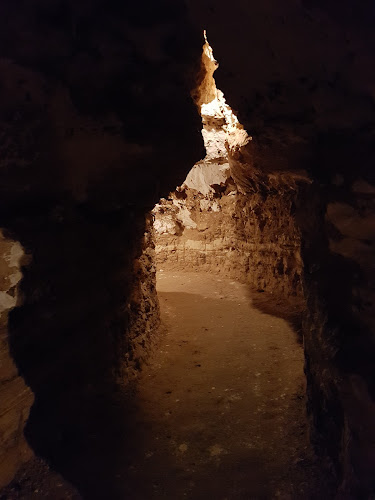 grotte des Petites Dalles à Saint-Martin-aux-Buneaux