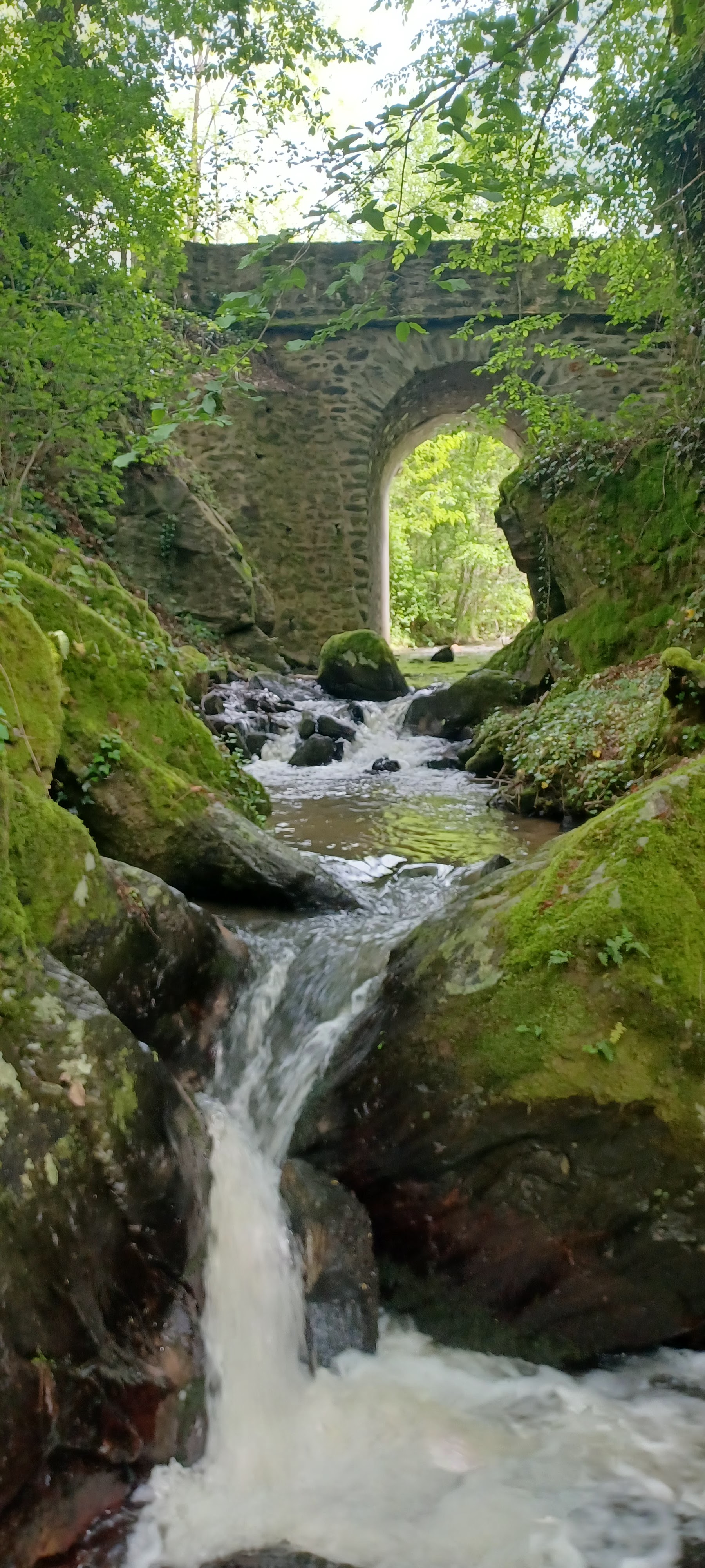 Photo n° 2 de l'avis de Mandi.i fait le 22/05/2023 à 15:33