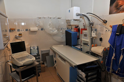 Clinique Vétérinaire des Dr Thierry & Evelyne GODAT & MASSON Elodie à Montesson