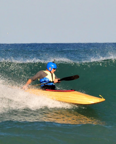 Paulownia Timber Ltd - Hardware store