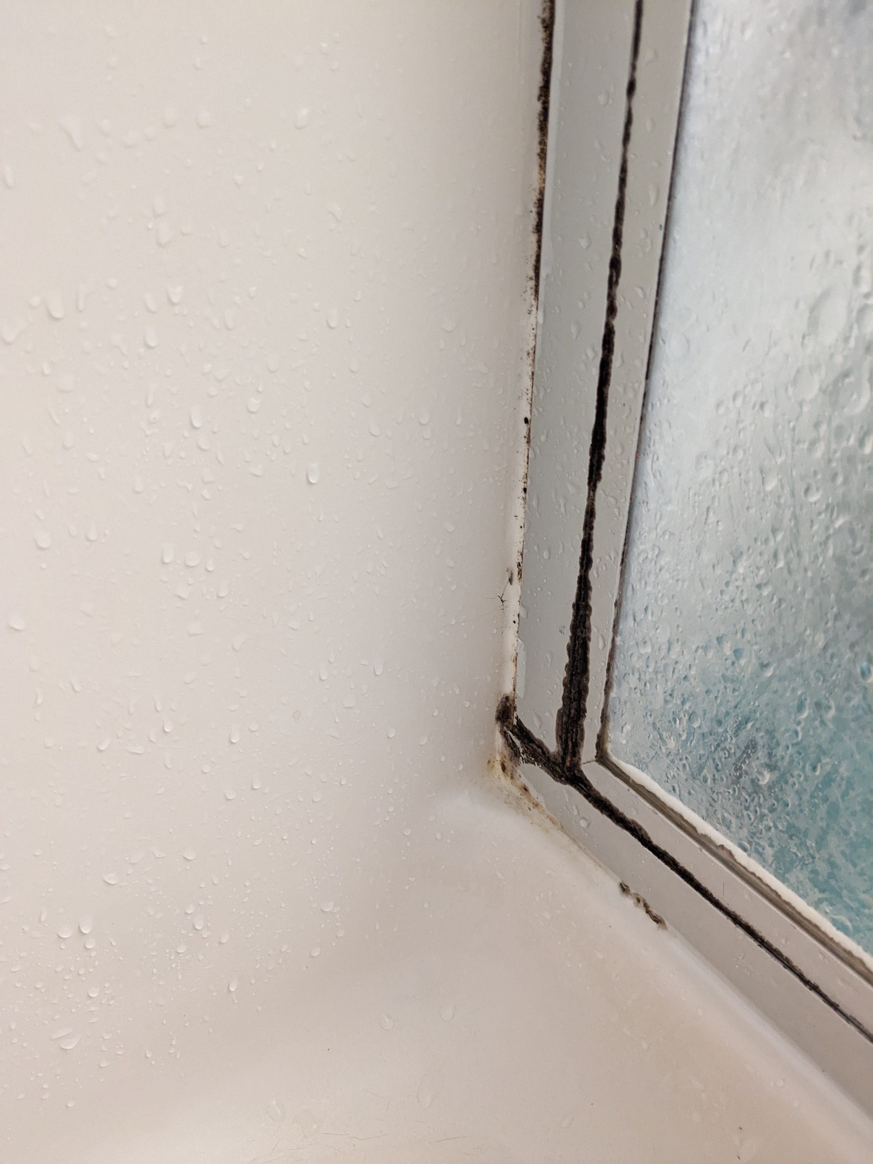 Photo n° 5 de l'avis de M.a fait le 14/09/2023 à 19:56