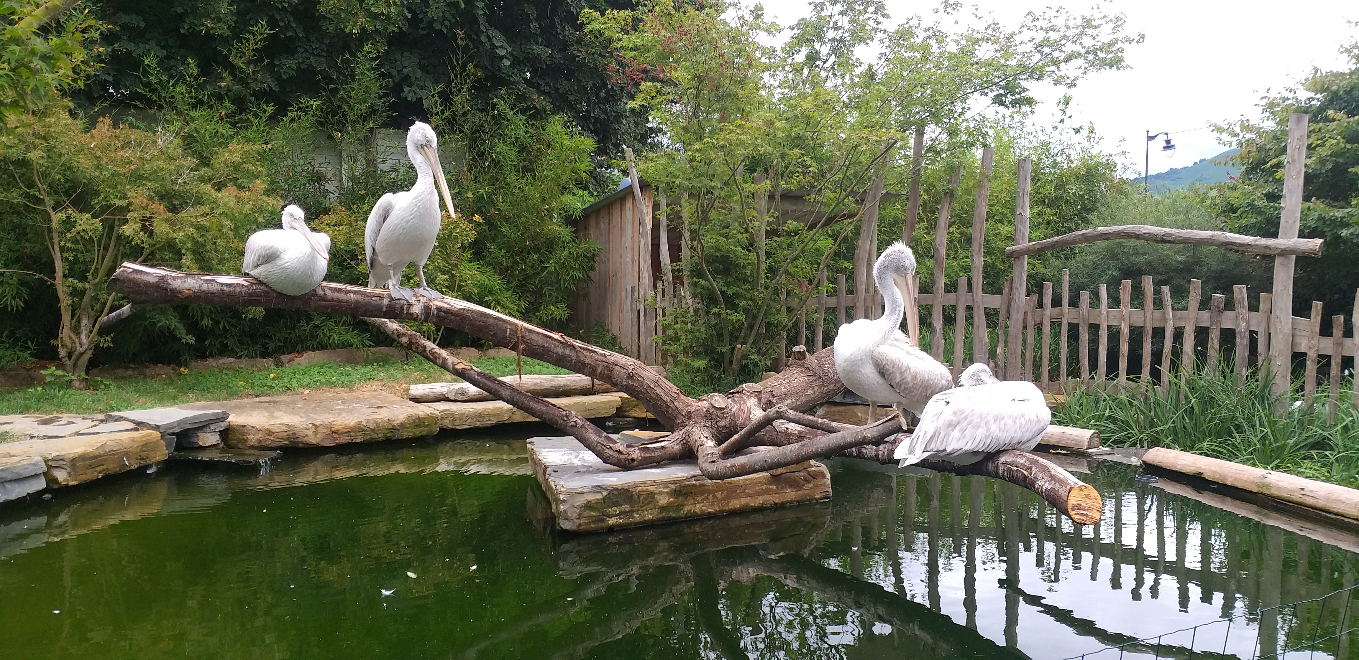 Photo n° 14 de l'avis de Caroline.e fait le 11/08/2019 à 21:48