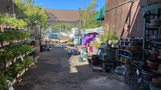 Hardware Store «Silverado Ace Hardware», reviews and photos, 1450 Lincoln Ave, Calistoga, CA 94515, USA