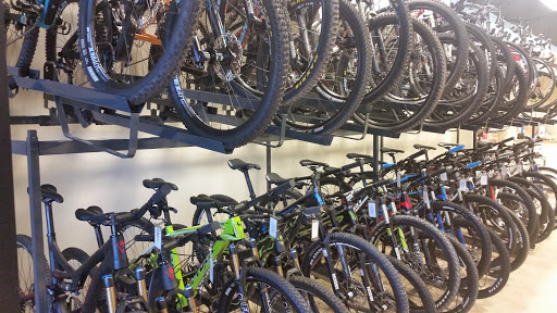 Bicycle Store «Sonoran Cycles Bike Shop», reviews and photos, 3780 W Happy Valley Rd, Glendale, AZ 85310, USA