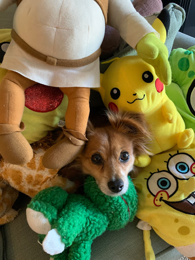 Cell Phone Store «8G Wireless», reviews and photos, 10133 Rosecrans Ave, Bellflower, CA 90706, USA