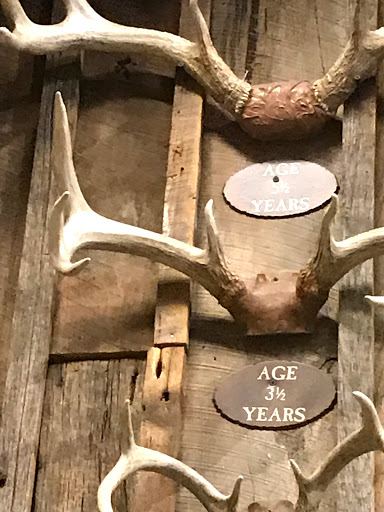 Sporting Goods Store «Bass Pro Shops», reviews and photos, 7000 Arundel Mills Cir, Hanover, MD 21076, USA