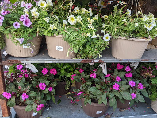 Home Improvement Store «The Home Depot», reviews and photos, 3470 North Rd, Poughkeepsie, NY 12601, USA