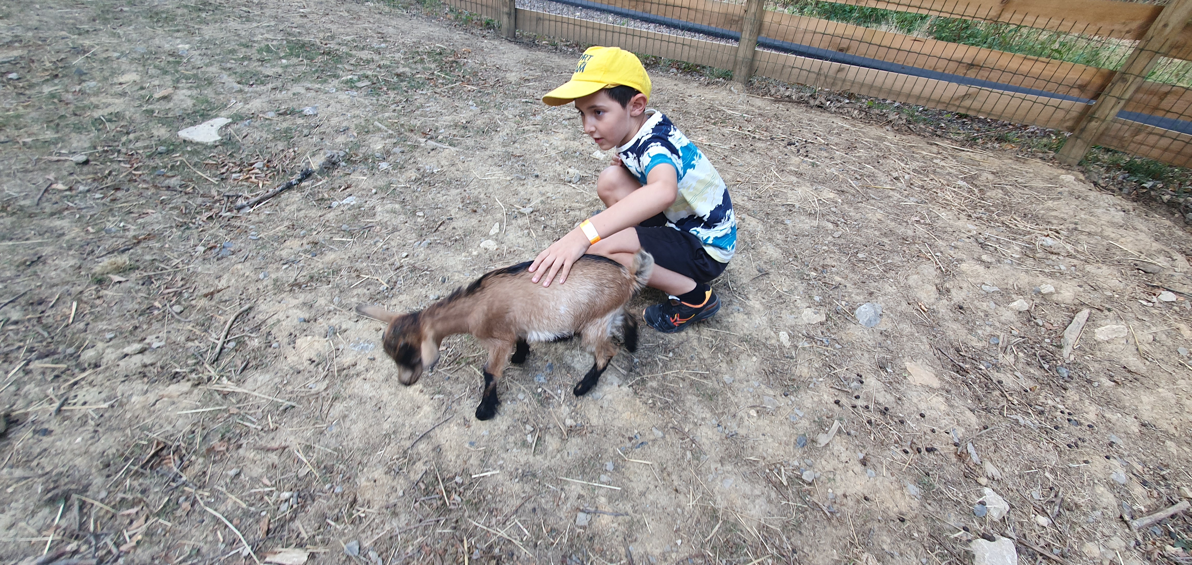 Photo n° 1 de l'avis de Guillaume.a fait le 29/07/2022 à 10:29